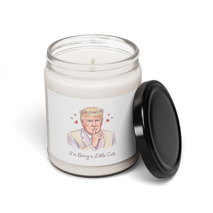 L&L - 9oz Scented Soy Candle - Donald Trump 'I'm Being a Little Cute'